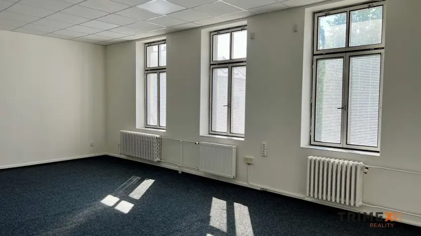 Pronájem kanceláře, Ostrava - Přívoz, Fügnerova, 36 m2