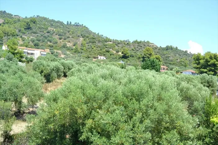 Prodej rodinného domu, Sithonia, Chalkidiki, Řecko, 250 m2