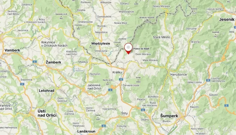 Prodej pozemku, Králíky - Horní Lipka, 11405 m2