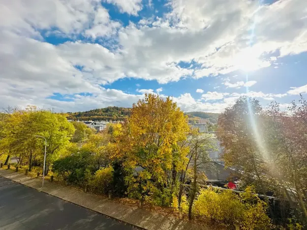 Prodej bytu 3+1, Karlovy Vary, Šmeralova, 87 m2