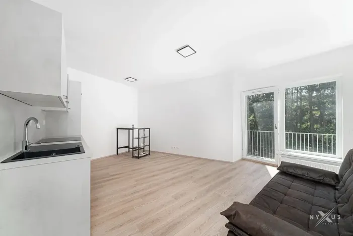 Pronájem bytu 1+kk, Praha - Štěrboholy, Pod areálem, 30 m2