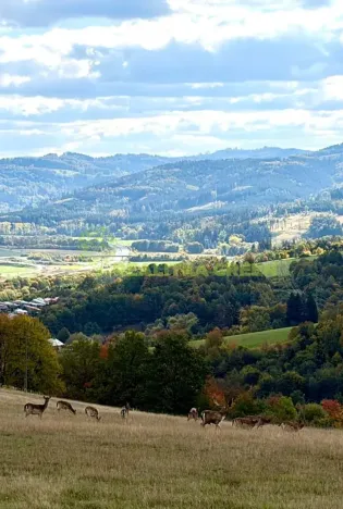 Prodej pozemku pro bydlení, Pržno, 6194 m2