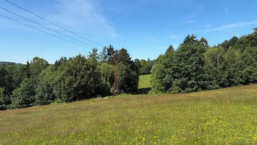 Prodej louky, Háje nad Jizerou, 3927 m2