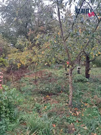Prodej vícegeneračního domu, Dobromilice, 156 m2