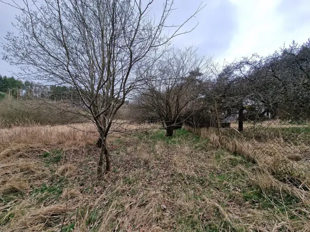 Prodej stavebního pozemku, 34980 m², Bělčice, Závišín