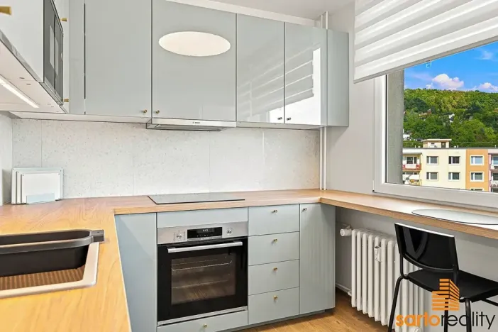 Pronájem bytu 1+1, Ústí nad Labem, Jizerská, 42 m2