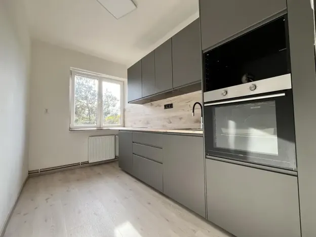 Pronájem bytu 1+1, Libiš, U Zahrádek, 43 m2