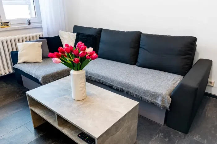 Prodej bytu 1+kk, Český Těšín, Ostravská, 31 m2