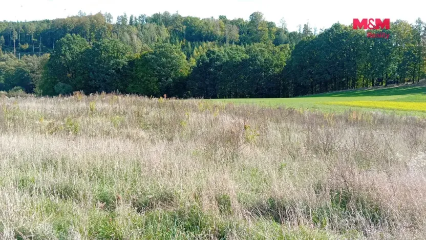 Prodej pozemku pro bydlení, Řehenice, 6409 m2