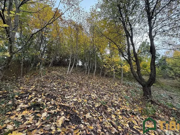 Prodej zahrady, Blansko, 541 m2