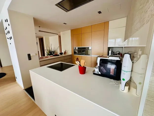 Prodej bytu 4+kk, Brno, Dřevařská, 172 m2