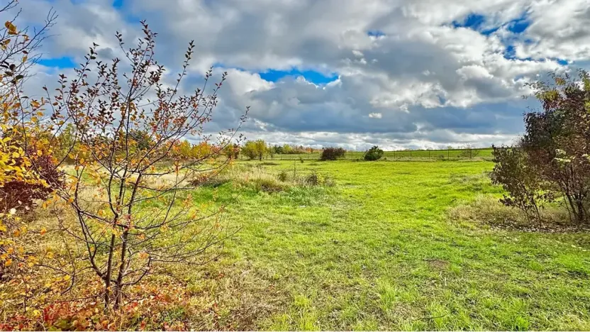 Prodej komerčního pozemku, Tachlovice, 6000 m2