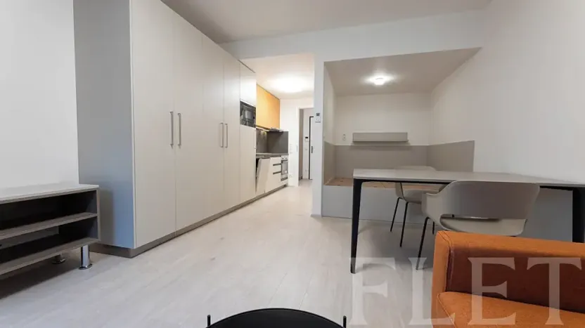 Pronájem bytu 1+kk, Praha - Žižkov, Hartigova, 34 m2