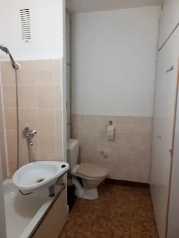 Prodej bytu 1+1, Frýdek-Místek, Anenská, 40 m2