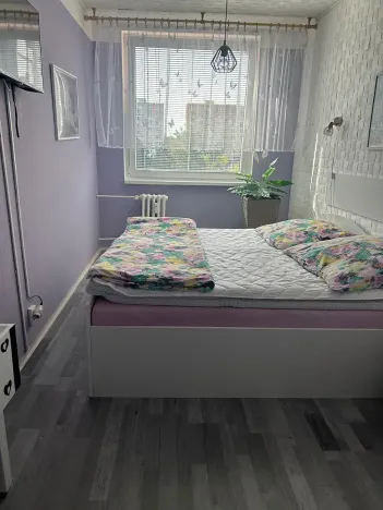 Prodej bytu 2+kk, Mladá Boleslav, Jana Palacha, 42 m2