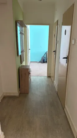 Prodej bytu 2+1, Týnec nad Sázavou, Družstevní, 53 m2