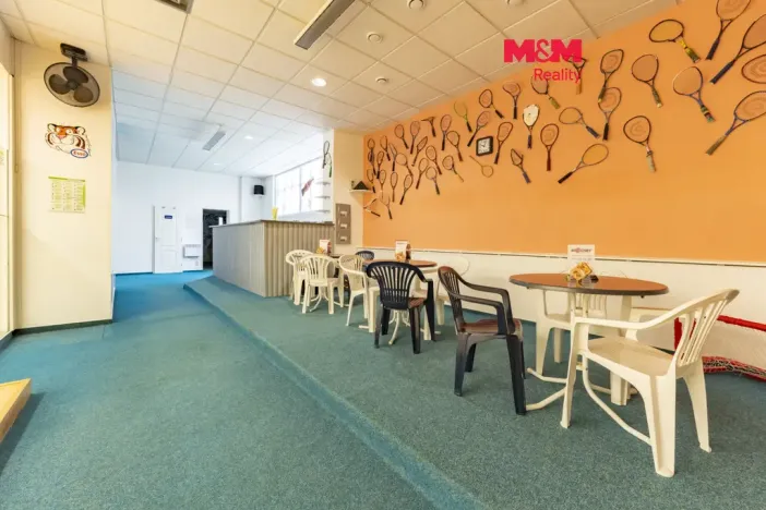 Prodej obchodního prostoru, Cheb, Lesní, 130 m2