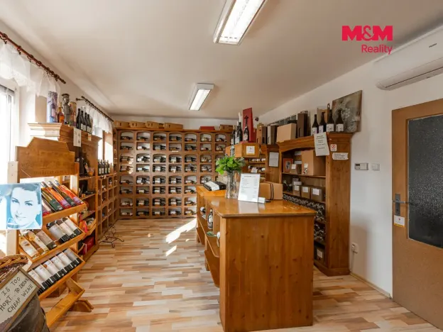Prodej rodinného domu, Benešov, Na Chmelnici, 245 m2