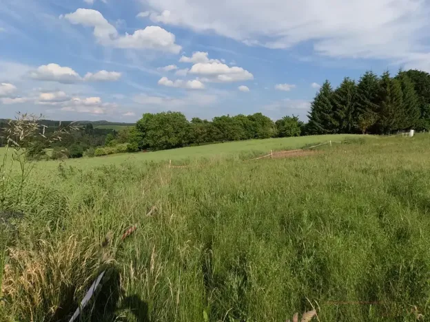 Prodej pozemku pro bydlení, Zbizuby, 1000 m2