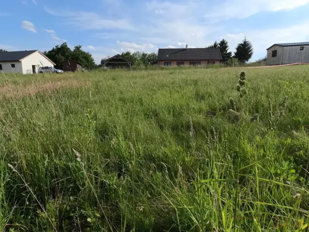 Prodej pozemku pro bydlení, Zbizuby, 1000 m2