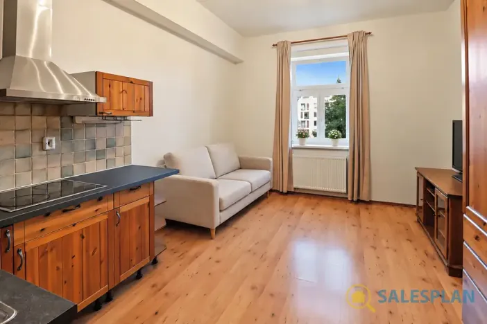 Prodej bytu 2+kk, Praha - Žižkov, Havlíčkovo náměstí, 34 m2