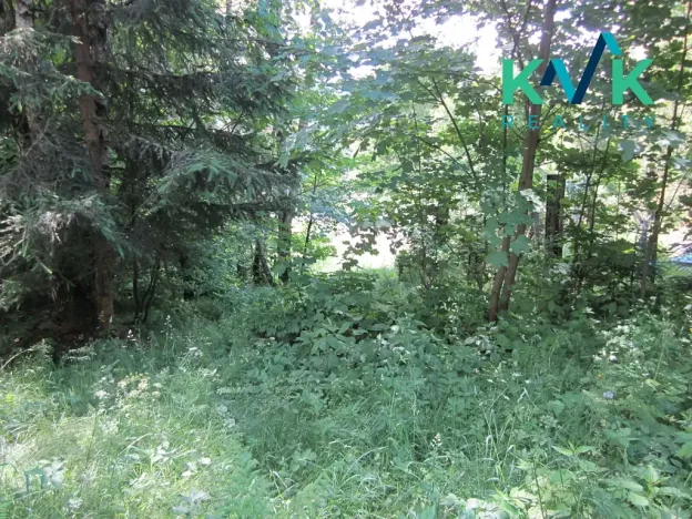 Prodej pozemku, Nejdek, 3489 m2