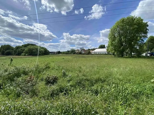 Dražba pozemku pro bydlení, Slavonice, 1281 m2