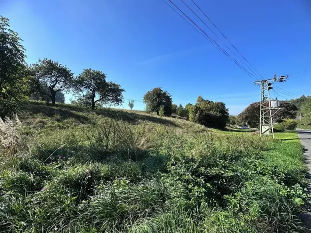 Prodej pozemku pro bydlení, Rynoltice, 3863 m2