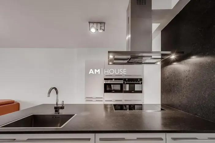 Pronájem bytu 4+kk, Praha - Vinohrady, Mánesova, 130 m2