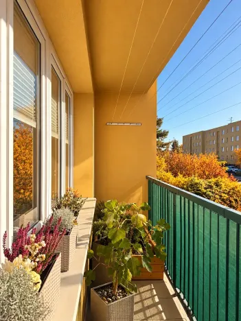 Prodej bytu 3+kk, Ostrava, Moravská, 74 m2