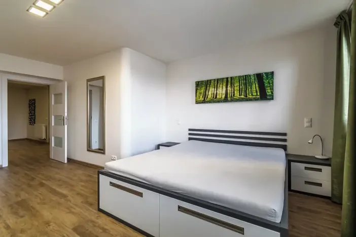 Pronájem bytu 2+kk, Praha - Vinohrady, Moravská, 92 m2