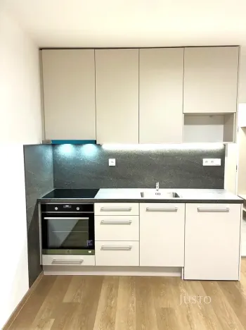 Pronájem bytu 1+kk, Písek, Harantova, 20 m2