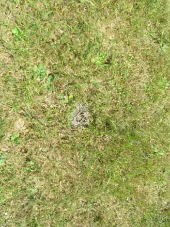 Dražba chaty, Liběchov, 63 m2