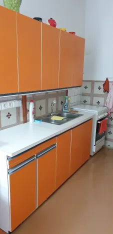 Prodej bytu 3+1, Teplice, Jankovcova, 98 m2