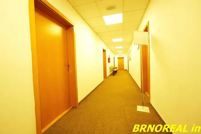 Pronájem kanceláře, Brno, Příkop, 20 m2