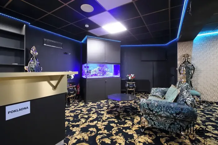 Prodej obchodního prostoru, Liberec, Na Žižkově, 351 m2