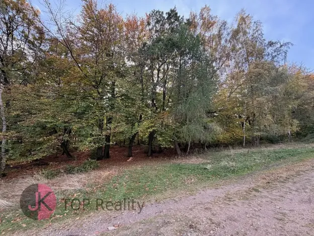 Prodej rodinného domu, Litvínov, 115 m2