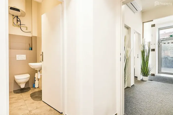 Pronájem kanceláře, Brno, Plotní, 93 m2