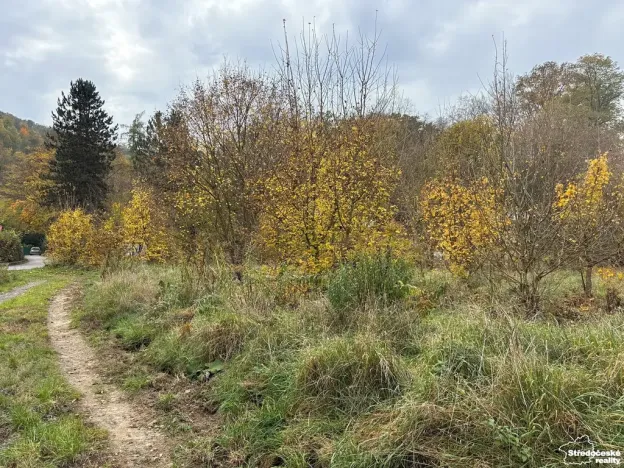 Prodej louky, Štěchovice, 4119 m2