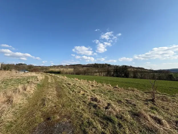 Prodej pozemku pro bydlení, Petrovice, 6579 m2
