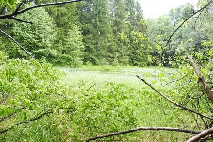 Dražba pozemku, Číměř, 7409 m2