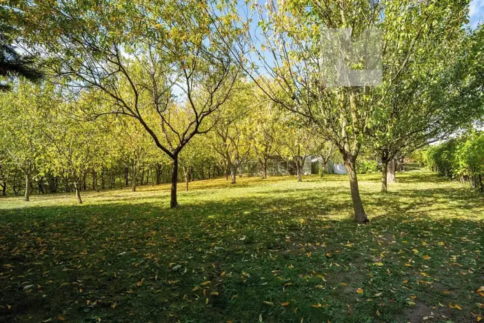 Prodej rodinného domu, Koryčany, 296 m2