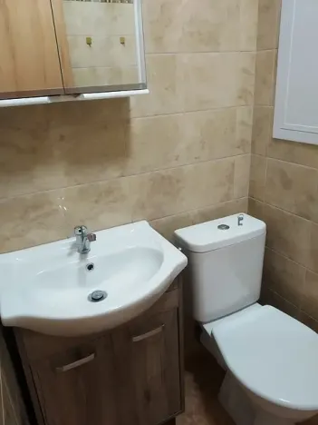 Pronájem bytu 1+1, Olomouc, Nešporova, 36 m2