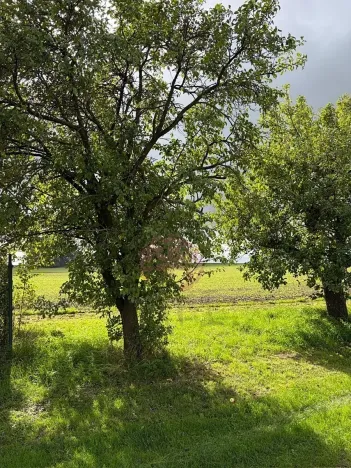 Prodej pozemku pro bydlení, Stračov, 8252 m2