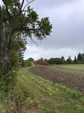 Prodej pozemku pro bydlení, Stračov, 8252 m2