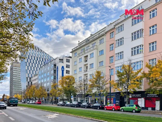 Pronájem bytu 1+kk, Praha - Vinohrady, Vinohradská, 38 m2