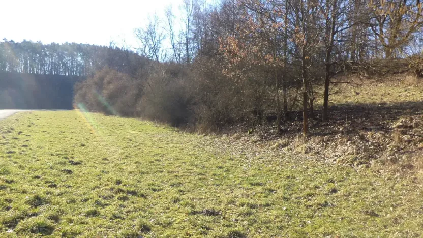Prodej pole, Snědovice - Sukorady, 5161 m2