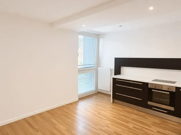 Pronájem bytu 2+kk, Brno, Fryčajova, 58 m2