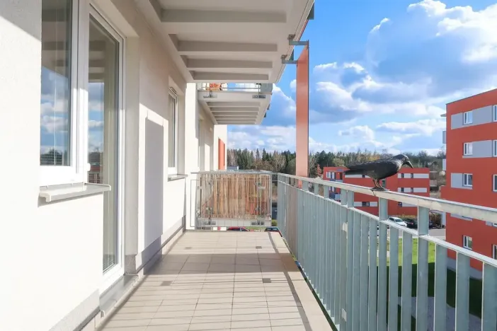 Pronájem bytu 2+kk, Praha - Háje, Loosova, 69 m2