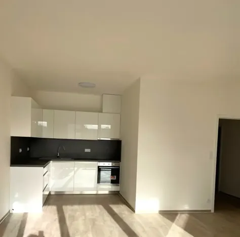 Prodej bytu 2+kk, Brno, Střední, 58 m2